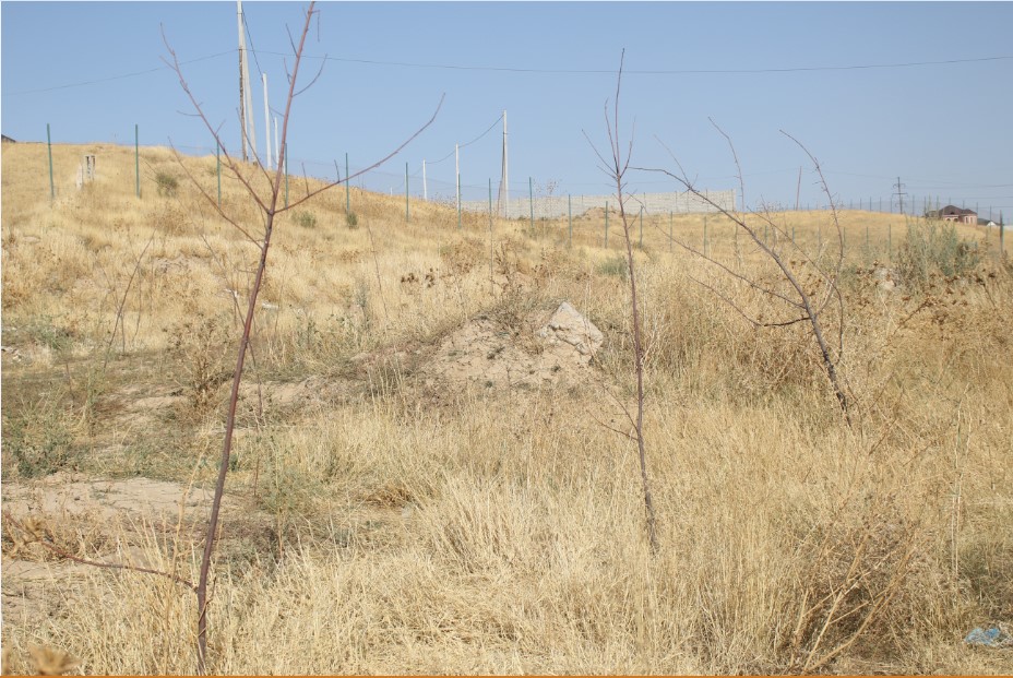 Screenshot_2.jpg
