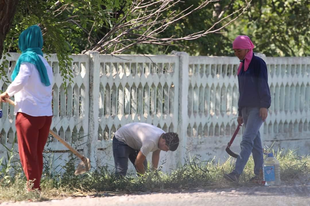 29.07.jpg
