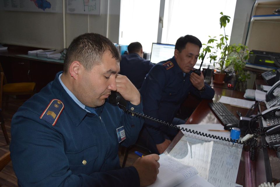 сайпол.jpg