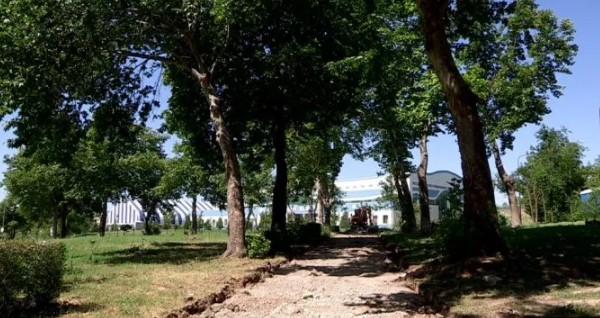 Screenshot_4.jpg