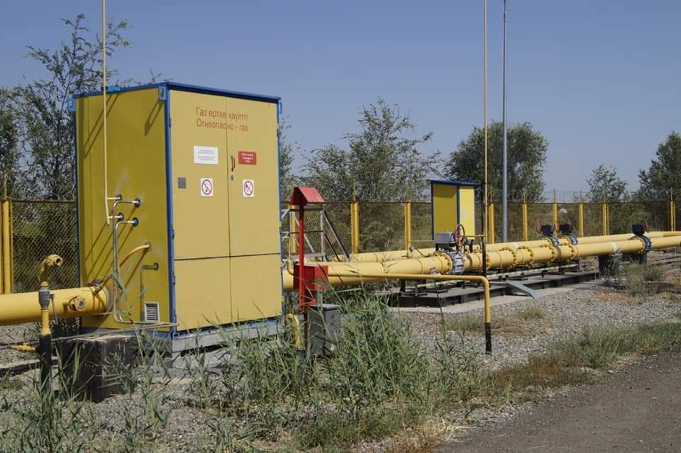 96.jpg