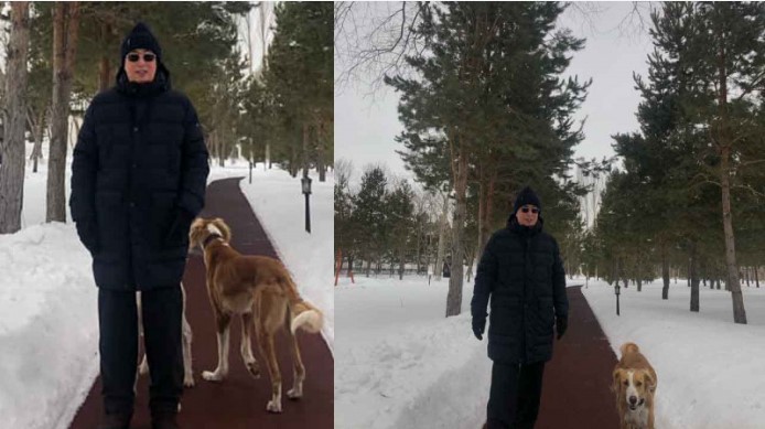 Тоқаев пен тазы.jpg