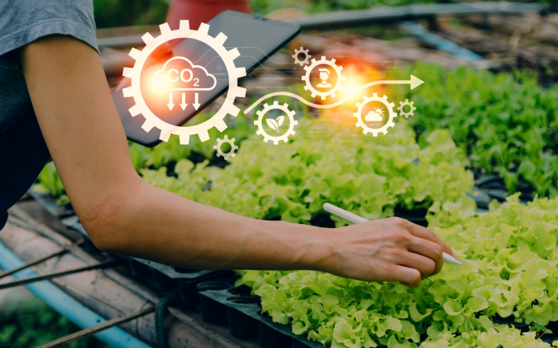 1758640139281165.png image.png