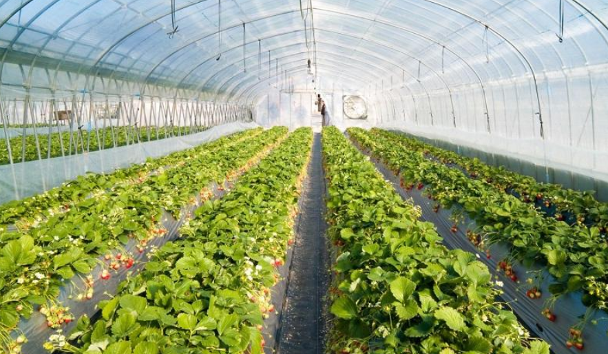 1763109003583604.png image.png