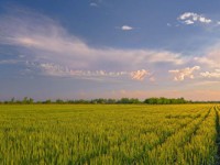 Бос жатқан жерлер игерілмек