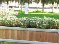 Гүлзар жаңа келбетке ие болды