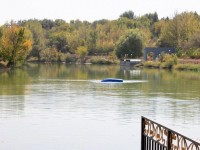 «Тұлпарға» шомылуға болады