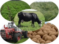 Агро-индустриалды аймақтар дамиды