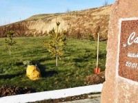 Шатқалдар жайқалып тұр