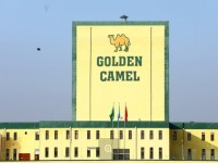 Түркістан: Жалпы өңірлік өнім көлемі 1 трлн. 103,9 млрд. теңгеге артты