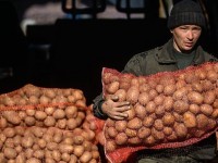 Қырғыздың картобы шіріп жатыр