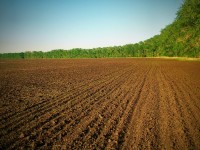 Мухтар Тайжан: Механизм аренды сельхозземель надо срочно менять