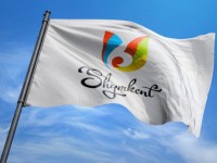 Шымкент - сауда хабына айналатын күн алыс емес