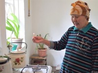 Төлебиліктер көгілдір отынның рахатын көруде