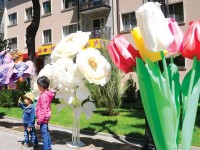 Қала қызғалдақпен көмкерілген күн