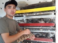 Бөдене өсіріп табысқа кенеліп отыр