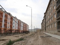 Түлкібаста қоныс той көбейеді