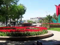 319 көп қабатты тұрғын үй салынады