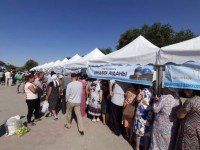 Айтаханов Түркістан шаруаларын Шымкентке шақырды