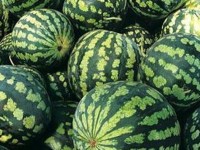 Біріккен шаруалардың ісі өнімді