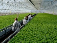 Жылыжай жайын талқылады