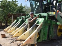 Комбайндар мақта теріміне дайын