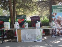 Мақта терім науқаны басталғалы жатыр