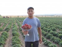 Төрт рет өнім алады