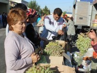 Жәрмеңкенің мақсаты-қымбатшылықты болдырмау