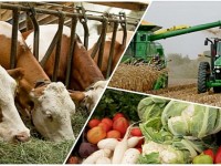 Тынымсыз еңбек адамды мұратқа жеткізеді