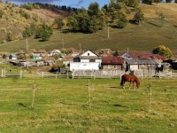 Ауылды көркейткен жоба