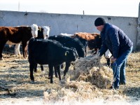 Шаруа қожалығын ашып, кәсібін дөңгелетіп отыр