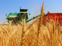 Агроөнеркәсіп - өңірлік экономиканың драйвері