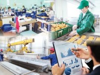 Сауда бар жерде кәсіп дамиды