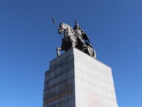 Қарабатыр тұғырға қонды