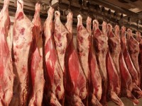 Жылдық жоспар небәрі 4 айда орындалған