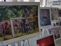 Фотоэкспедиция мәресіне жетті