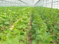 6 жоба жүзеге асты