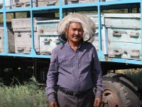 «Тәтті» кәсіпті меңгерген