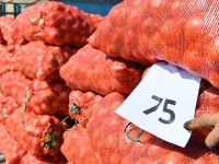 Түркістанда азық-түлік қоры жеткілікті