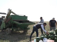 Сусыз өнім алу технологиясы биыл 500 гектарга ендіріледі