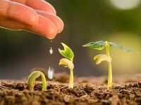 Түркістан облысының кәсіпкерлерін қаржылай қолдау қарқынды жүргізілуде