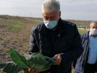 Карантин экспортқа кері әсер етпейді