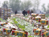 Экспортқа шектеу жоқ