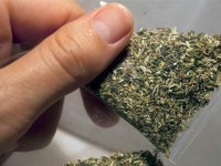 Дәретханада марихуана сақтаған күдікті ұсталды