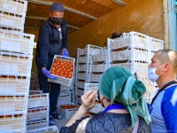 Шымкенттік шаруалар өз өнімдерін делдалсыз саудалауда