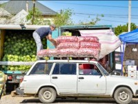 Жылыжайдағы көкөністер сатылымға шықты