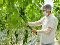 Еселі еңбектің жемісін көрмек