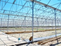 Жылы аймақта жылыжай көп