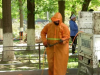 В Шымкенте продолжаются дезинфекционные работы